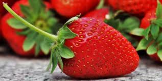 35 exotic fruits you should try at least once. Cornell Cooperative Extension Growing Small Fruit In The Home Garden Growing Unusual Fruit