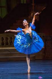 Daria tutu is on facebook. Blue Bird By Daria 500px Ballet Costumes Bird Costume Dance Outfits