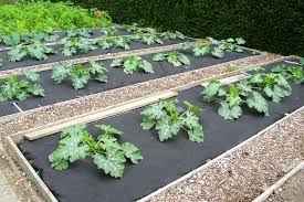 It can be all kinds of materials, like linen, polyester or recycled plastic. Which Garden Mat Is Best For Your Garden Tips On How To Choose