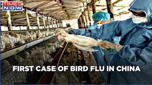 This has changed somewhat many scientists believe influenza strain mixing could also occur in people now that some forms of bird flu are known to be able to infect humans in some cases. F Nl4swfqdvrim