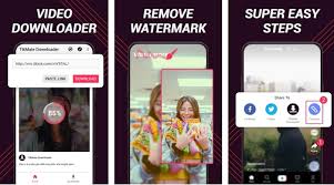 The first step is to find the video that you want to download on tiktok. Download Tiktok Videos Without Watermark Techtippr