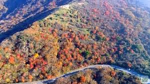 「久住山」の画像検索結果