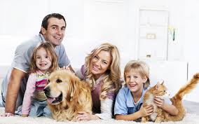 Drymaster carpet cleaning wollongong also offers our customers the carpet dry cleaning method. Ryans Carpet Cleaning Wollongong Carpet Upholstery Cleaning Wollongong Illawarra Nsw