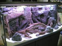 Cold Water Aquarium Check Out The Rock Wall Fish Tank Interior Design Gifts Aquarium