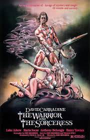 The Warrior and the Sorceress (1984) - IMDb