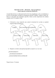 0 evaluări0% au considerat acest document util (0 voturi). Academiaabc FisÄ De Lucru Religie Clasa P Omul RespectÄ Cuvantul Lui Dumnezeu