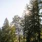 Merry Heart Children's Camp event in Lake Oswego, OR
