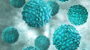 There is no vaccine against norovirus; Norovirus Breitet Sich Rasant Aus Wie Schutze Ich Mich Vor Dem Fiesen Erreger Gesundheit Bild De