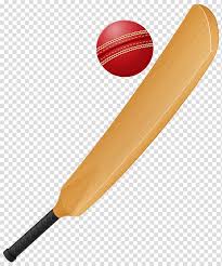 Black Bat Illustration Bat Transparent Background Png Clipart Hiclipart Polish your personal project or design with these cricket bat transparent png images, make it even more personalized and more attractive. black bat illustration bat transparent