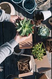Sign up to receive urban outfitters emails and get first dibs on new arrivals, sales, exclusive content, events and more! Unboxing Uo Grow Urban Outfitters Blog