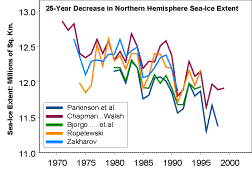 Polar Bears In Recent Decades