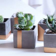 I have a small obsession with buying new plants all the time. Atelier Ideco Modern Gray And Copper Cube Concrete Planter Pot With Square Saucer And Copper Painted Vertical Strip Concrete Planters Succulent Planter Diy Diy Concrete Planters