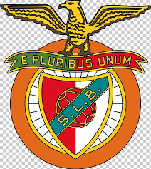 Their symptoms may be similar, but they differ largely in how they're transmitted from person to person. S L Benfica B Uefa Europa League Lisbon Sporting Cp Png Clipart Area Artwork Beak Benfica Brand