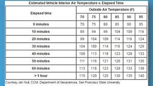 Tpd Dont Leave Your Pet In The Car On An 80 Degree Day