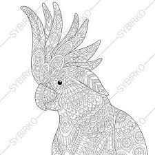 Home » images tagged parrot. Pin On Art
