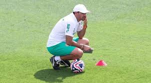 Palmeiras Online - News update