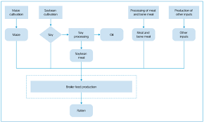 Environmental Performance Of Feed Production For Broiler In
