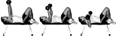 Developpe Couche Exercice De Musculation Pour Les Pectoraux Avec Des Halteres Musculation Musculation Pectoraux Exercice Musculation