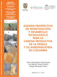 Mira estas cadenas de whatsapp hot 100% picantes los mejores retos hot que vas a poder. Pdf Agenda Prospectiva De Investigacion Y Desarrollo Tecnologico Para La Cadena Productiva De La Panela Y Su Agroindustria En Colombia