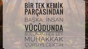 dualar panosundaki pin