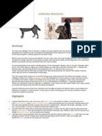 Maybe you would like to learn more about one of these? Different Breed Of Dogs Pdf Terriers Dogs