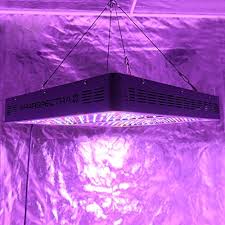 Best grow light for 4x2 tent. Best Led Light For 4x4 Grow Tent To Get More Yield 2021 Guide Review