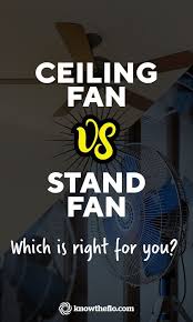 Ceiling Fan Vs Stand Fan Pros Cons Your Definitive Guide Stand Fan Ceiling Fan Standing Fans