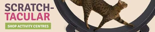 Fast and freee delivery and the lowest prices guaranteed. Cat Trees Free Uk Delivery Petplanet Co Uk