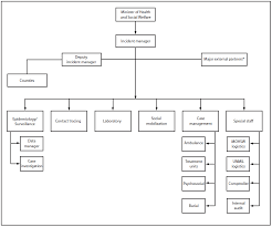 Professional Sports Team Organizational Chart Www