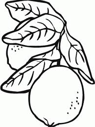 1700x2200 orange blossom coloring page, orange blossom strawberry. Online Coloring Pages For Orange Wallpaper Violasgallery Com Coloring Home