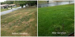 We did not find results for: Aerate Archives Northwest Exterminating