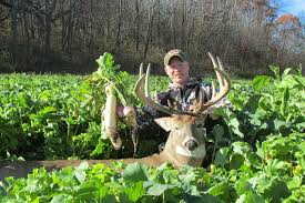 As herbaceous foods diminish through summer, fall food plots can become attractive to wildlife. What To Plant Antler King
