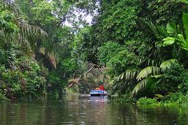 Ashoka Vatika In Sri Lanka : On A Ramayana Trail