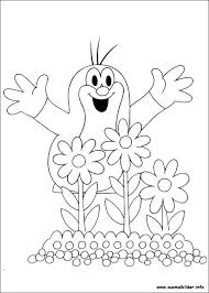 Der Kleine Maulwurf Malvorlagen Coloring Pictures Coloring Books Coloring Pages