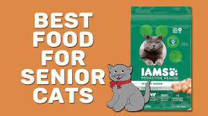 10 Best Food For Senior Cats In 2021 Complete Diet Guide For Older Cats Petmoo
