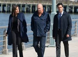 A dismembered body is found in a junkyard; Law Order Svu Season 16 Episode 21 Tv Fanatic
