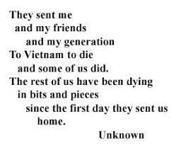 pin on the vietnam war