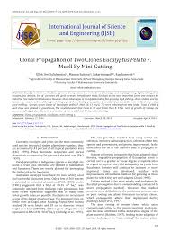 Pdf Clonal Propagation Of Two Clones Eucalyptus Pellita F Muell By Mini Cutting