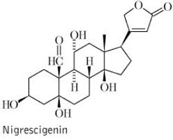 Image result for Parquetina calophylla