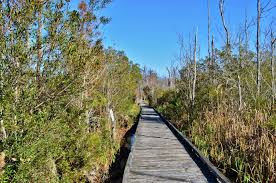 Check our events pageto see what's coming up. Goose Creek State Park Take A Hike