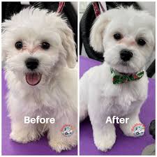 Crystal Mccombs (memphissweets9)