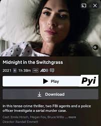 Netflix Loading Screen and Live Streaming Issues