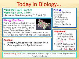 We need you to get dna coloring transcription and translation activity. Pick Up Protein Synthesis Notepage Dna Coloring Transcription Translation Protein Synthesis Wkst Agenda 1 Protein Synthesis Notes Transcription Ppt Download