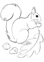 Risultato Immagini Per Disegni Di Scoiattoli Da Stampare E Colorare Squirrel Coloring Page Animal Coloring Pages Fall Coloring Pages