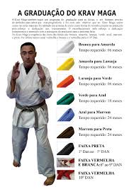 Grátis: APOSTILA COMPLETA REQUESITOS PARA FAIXA AMARELA VOL 02 - Material  Claro e Objetivo em PDF para Estudo Rápido