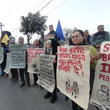 Bildergebnis für Artree Nepal