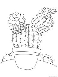 Coloring pictures and coloring books make a vital contribution to effectively promoting the creativity of our youngest. Cactus Coloring Pages Flowers Nature Cactus Flower 11 Printable 2021 039 Coloring4free Coloring4free Com