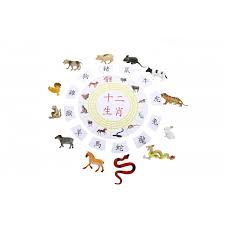 There are 12 animals in the chinese zodiac. Chinese Zodiac With 12 Animals Objects