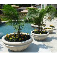 Planter Box Round Fiberglass Roman Planter Plants Around Pool Pool Planters Backyard Pool Landscaping