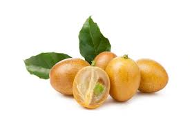 Image result for Clausena